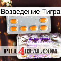 Возведение Тигра new12